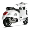 Akrapovic Slip-On Vespa GTS 125 / 250 / 300 -Macna Winkel S VE3SO2 HRSS 1 199e